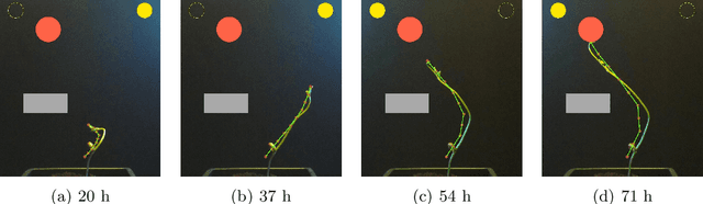 Figure 3 for A Robot to Shape your Natural Plant: The Machine Learning Approach to Model and Control Bio-Hybrid Systems