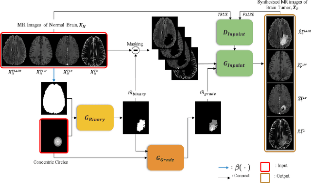 Figure 2 for Synthesis of Brain Tumor MR Images for Learning Data Augmentation