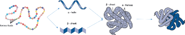 Figure 4 for Multiple protein feature prediction with statistical relational learning