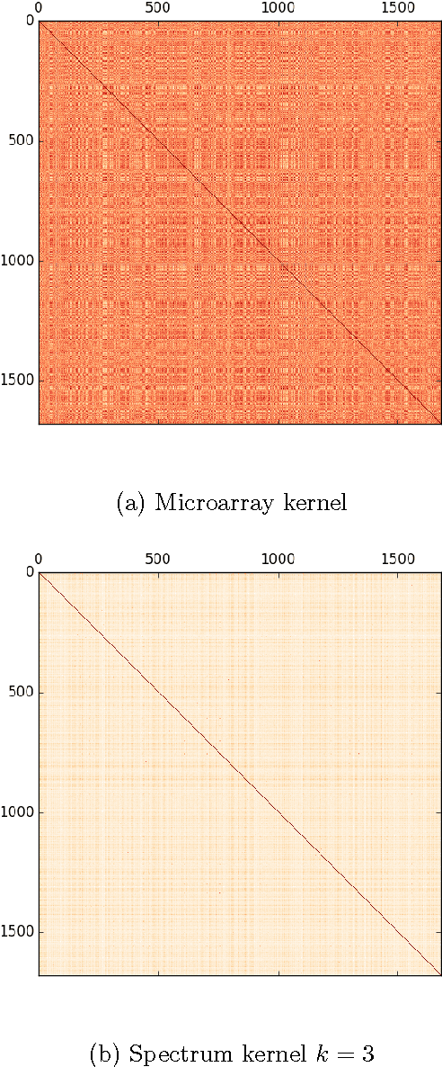 Figure 3 for Multiple protein feature prediction with statistical relational learning