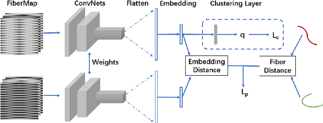 Figure 1 for Deep Fiber Clustering: Anatomically Informed Unsupervised Deep Learning for Fast and Effective White Matter Parcellation