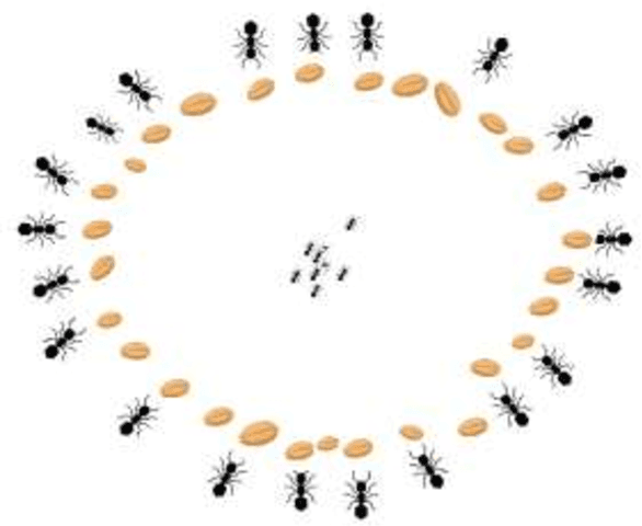 Figure 3 for ANA: Ant Nesting Algorithm for Optimizing Real-World Problems