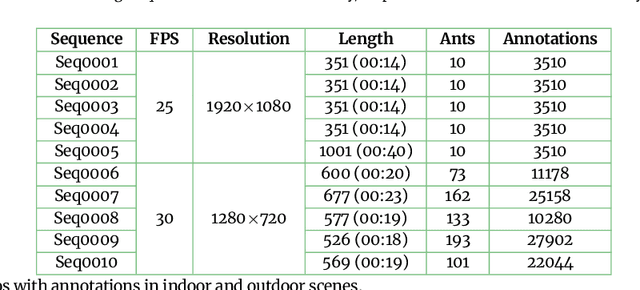 Figure 2 for A dataset of ant colonies motion trajectories in indoor and outdoor scenes for social cluster behavior study