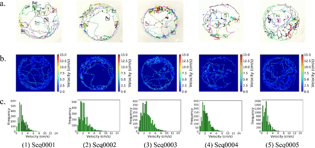 Figure 3 for A dataset of ant colonies motion trajectories in indoor and outdoor scenes for social cluster behavior study