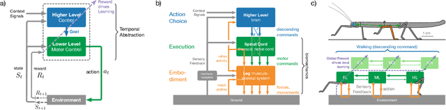 Figure 1 for Decentralized Deep Reinforcement Learning for a Distributed and Adaptive Locomotion Controller of a Hexapod Robot