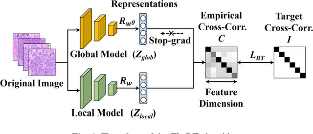 Figure 3 for Pseudo-Data based Self-Supervised Federated Learning for Classification of Histopathological Images