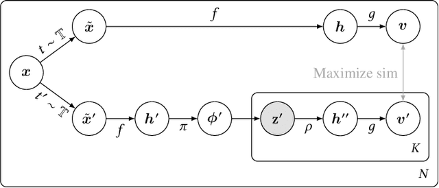 Figure 1 for Stochastic Contrastive Learning