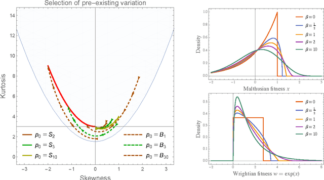 Figure 2 for Limiting fitness distributions in evolutionary dynamics