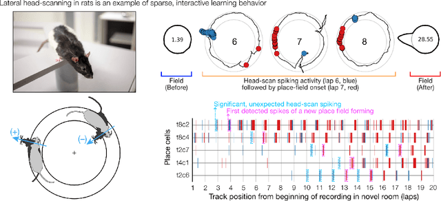 Figure 3 for A brain basis of dynamical intelligence for AI and computational neuroscience