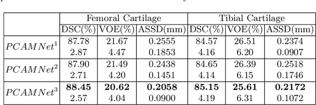 Figure 4 for Position-prior Clustering-based Self-attention Module for Knee Cartilage Segmentation