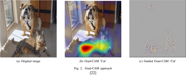 Figure 2 for Feature matching in Ultrasound images