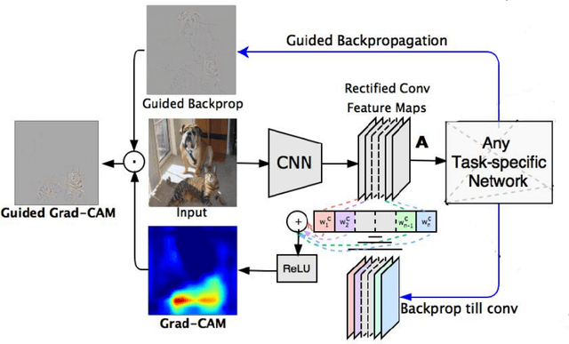 Figure 3 for Feature matching in Ultrasound images