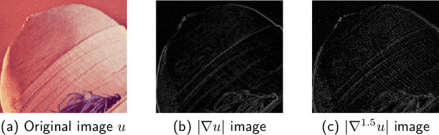 Figure 3 for An efficient feature-preserving PDE algorithm for image denoising based on a spatial-fractional anisotropic diffusion equation