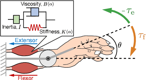 Figure 1 for Biomimetic Control of Myoelectric Prosthetic Hand Based on a Lambda-type Muscle Model