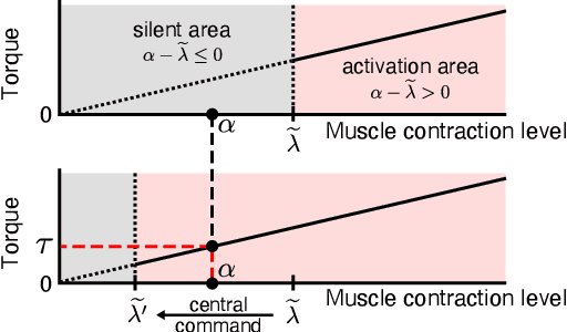 Figure 2 for Biomimetic Control of Myoelectric Prosthetic Hand Based on a Lambda-type Muscle Model