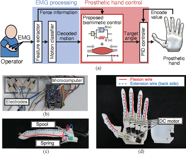 Figure 4 for Biomimetic Control of Myoelectric Prosthetic Hand Based on a Lambda-type Muscle Model
