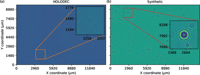 Figure 1 for Neural network processing of holographic images