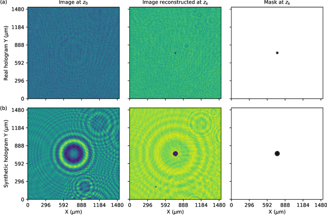 Figure 3 for Neural network processing of holographic images