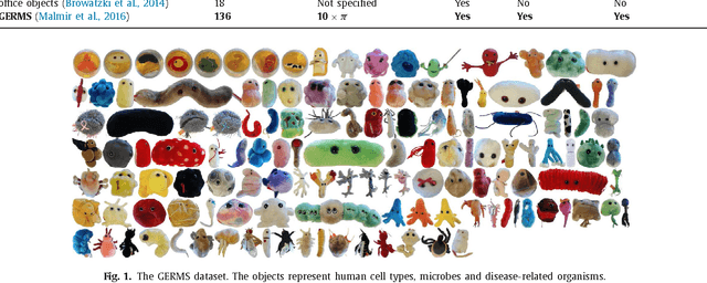 Figure 1 for Deep Active Object Recognition by Joint Label and Action Prediction