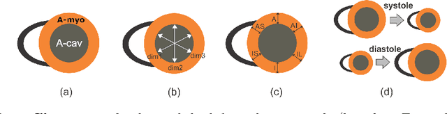 Figure 1 for Left ventricle quantification through spatio-temporal CNNs