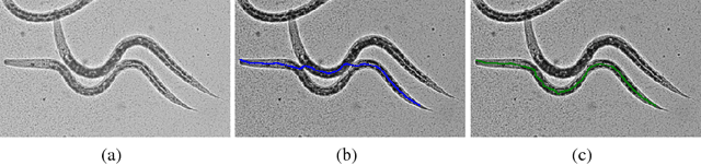 Figure 4 for Diverse M-Best Solutions by Dynamic Programming