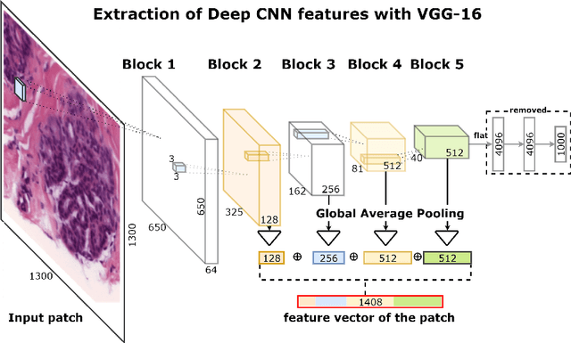 Figure 3 for Deep Convolutional Neural Networks for Breast Cancer Histology Image Analysis