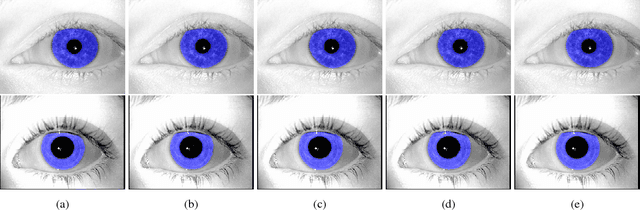 Figure 1 for Iris Recognition with Image Segmentation Employing Retrained Off-the-Shelf Deep Neural Networks