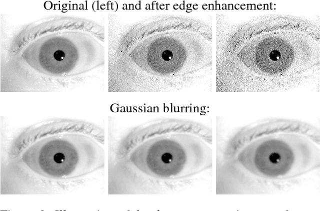 Figure 4 for Iris Recognition with Image Segmentation Employing Retrained Off-the-Shelf Deep Neural Networks