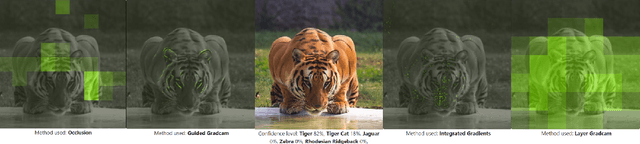 Figure 1 for Towards Benchmarking Explainable Artificial Intelligence Methods