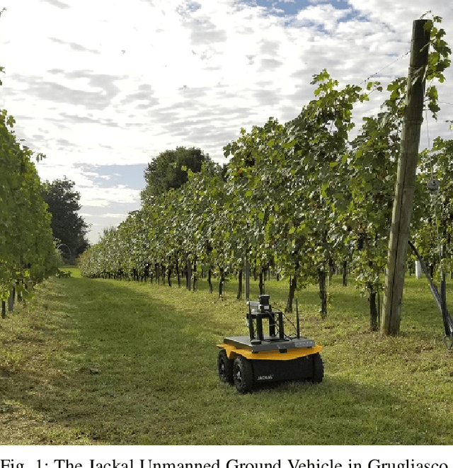 Figure 1 for Deep Semantic Segmentation at the Edge for Autonomous Navigation in Vineyard Rows