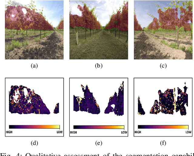 Figure 4 for Deep Semantic Segmentation at the Edge for Autonomous Navigation in Vineyard Rows