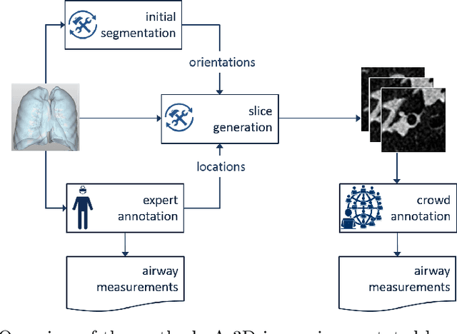 Figure 1 for Crowdsourcing Airway Annotations in Chest Computed Tomography Images