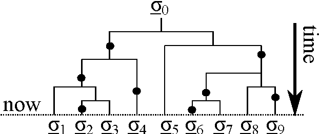 Figure 1 for Hierarchy of Scales in Language Dynamics