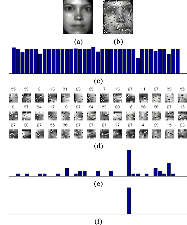 Figure 4 for Discriminative Local Sparse Representations for Robust Face Recognition