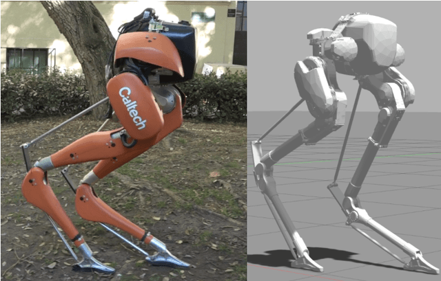 Figure 1 for Control Lyapunov Functions for Compliant Hybrid Zero Dynamic Walking