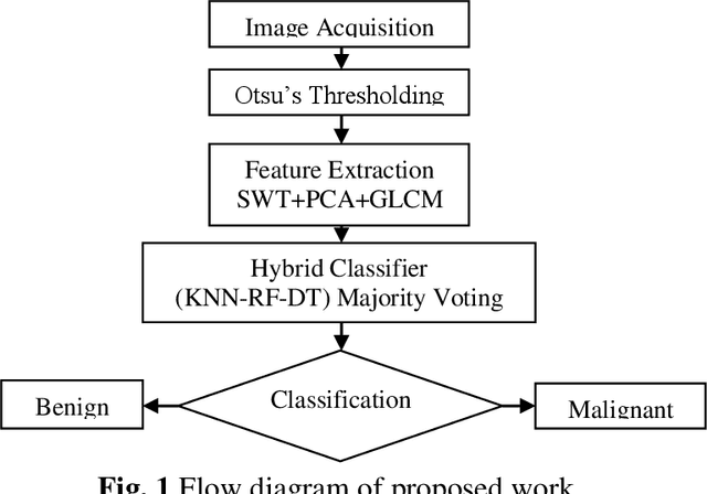 Figure 1 for Brain Tumor Detection and Classification based on Hybrid Ensemble Classifier
