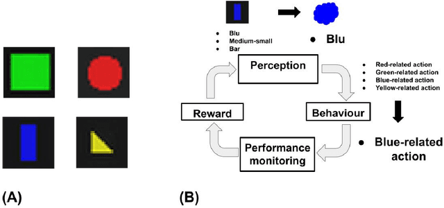 Figure 1 for A Computational Model of Representation Learning in the Brain Cortex, Integrating Unsupervised and Reinforcement Learning