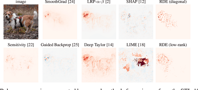 Figure 2 for A Rate-Distortion Framework for Explaining Neural Network Decisions