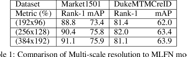 Figure 2 for DeepPFCN: Deep Parallel Feature Consensus Network For Person Re-Identification