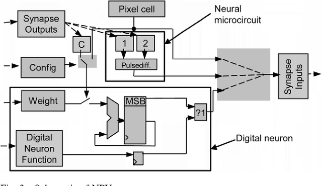 Figure 3 for Gabor-like Image Filtering using a Neural Microcircuit