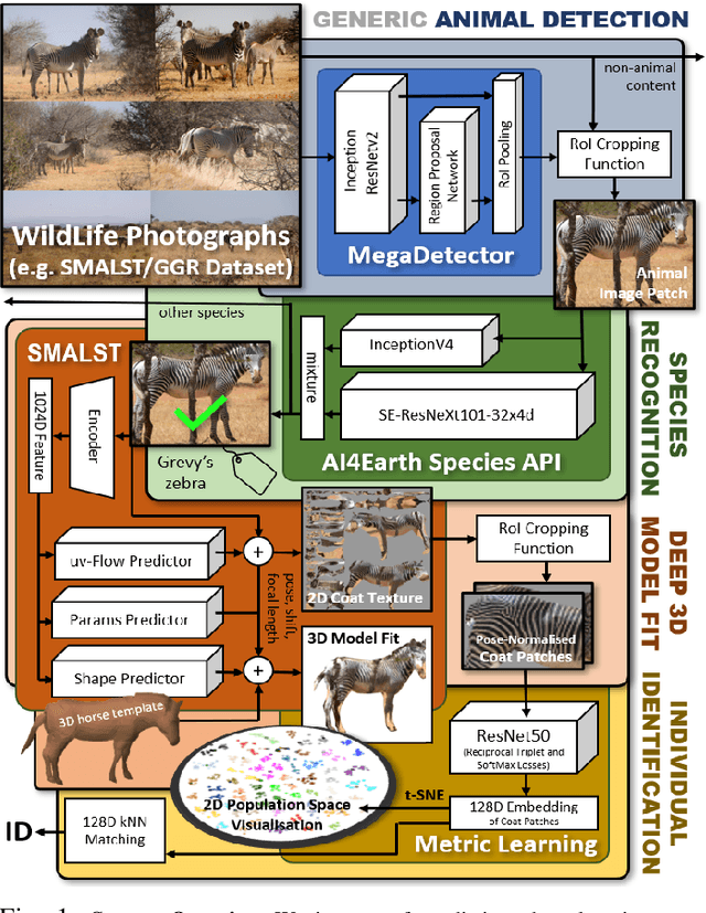 Figure 1 for Towards Individual Grevy's Zebra Identification via Deep 3D Fitting and Metric Learning