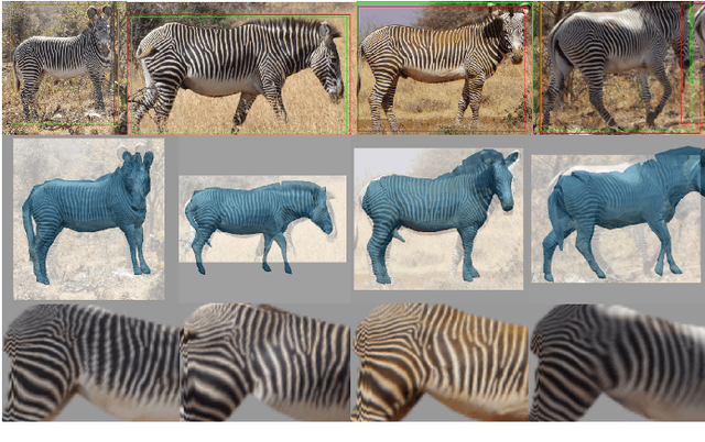 Figure 3 for Towards Individual Grevy's Zebra Identification via Deep 3D Fitting and Metric Learning