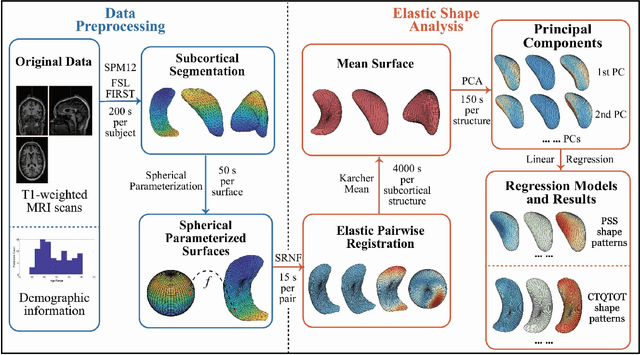 Figure 1 for Elastic Shape Analysis of Brain Structures for Predictive Modeling of PTSD