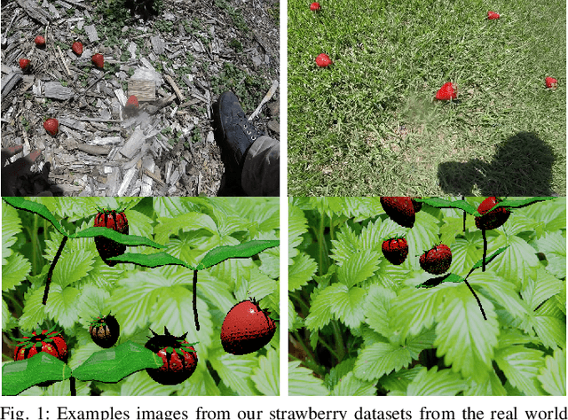 Figure 1 for Strawberry Detection using Mixed Training on Simulated and Real Data
