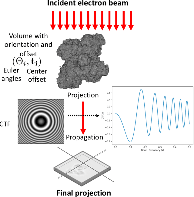 Figure 2 for Model-based Reconstruction for Single Particle Cryo-Electron Microscopy