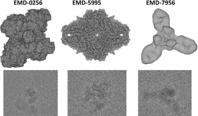 Figure 3 for Model-based Reconstruction for Single Particle Cryo-Electron Microscopy