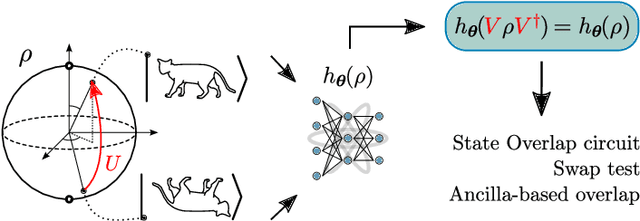 Figure 3 for Group-Invariant Quantum Machine Learning