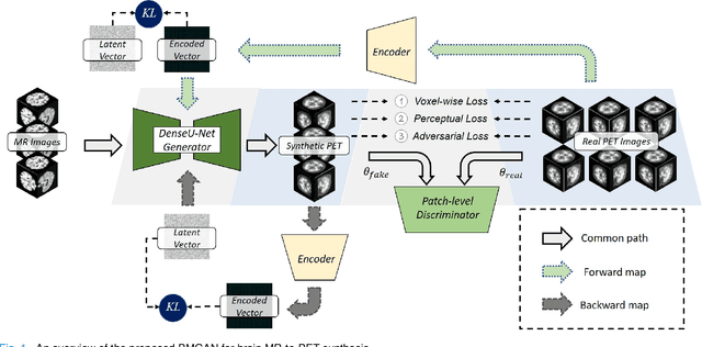 Figure 1 for Bidirectional Mapping Generative Adversarial Networks for Brain MR to PET Synthesis