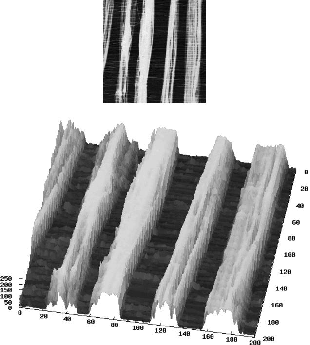 Figure 1 for Texture descriptor combining fractal dimension and artificial crawlers