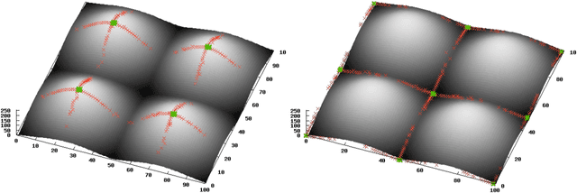 Figure 3 for Texture descriptor combining fractal dimension and artificial crawlers